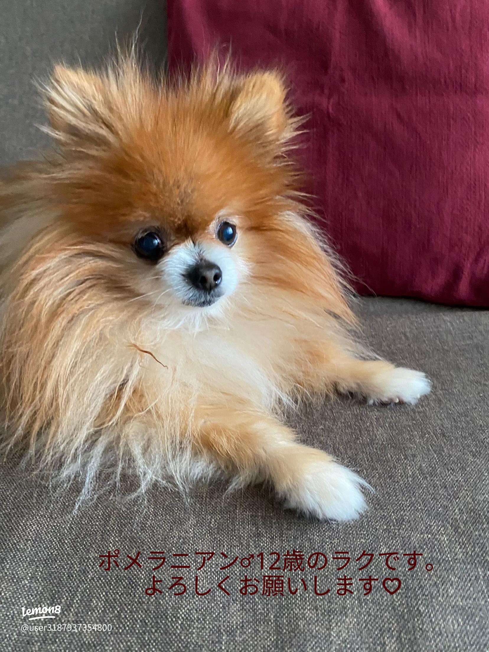 痩身ダイエット×小顔フェイシャル専門店 北海道登別 代表吉田智春 on Instagram