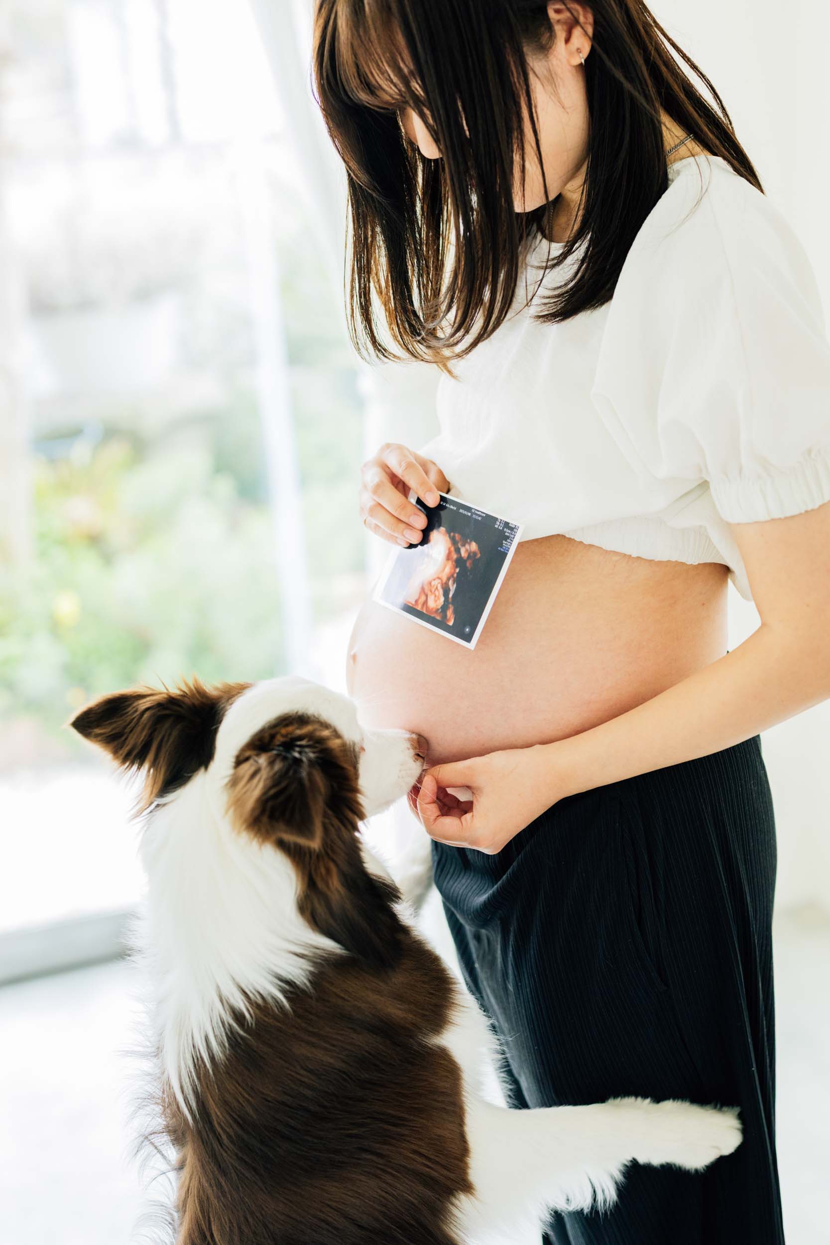 ペットと一緒に~家族の一員~大阪のマタニティやベビー、ニューボーンフォトのスタジオはSTUDIO6