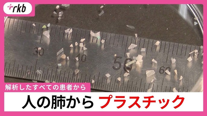 管理人ページ 264女性アナウンサー大図鑑