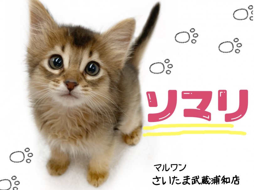 好きと言われた時の可愛い返し方♡ 相手・場面別に鉄板フレーズ15選Oggi.jp