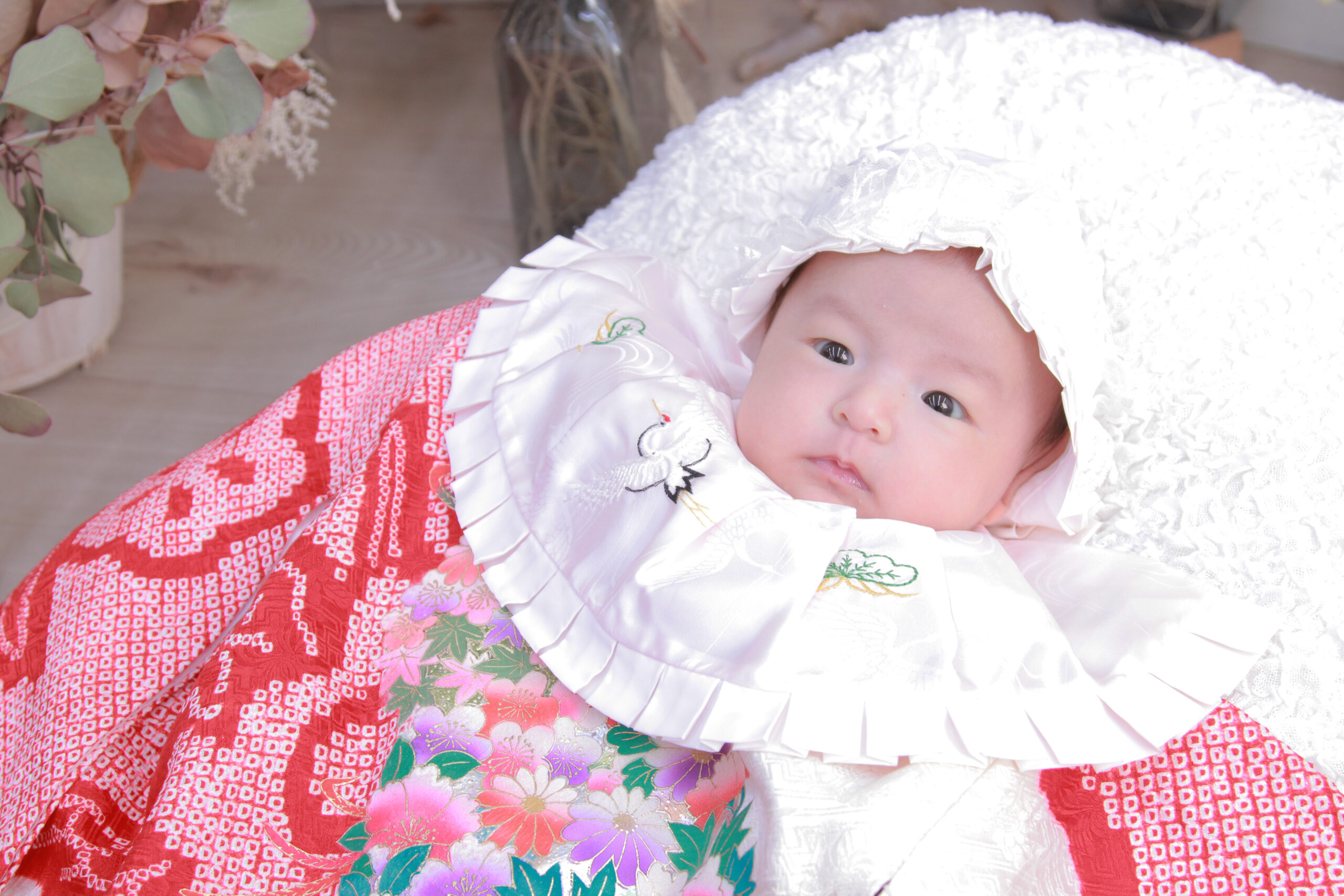 お宮参り 女の子 Ⅱふぉ～とすて～しょんさいたま市大宮の氷川神社近くのアットホームなフォトスタジオ
