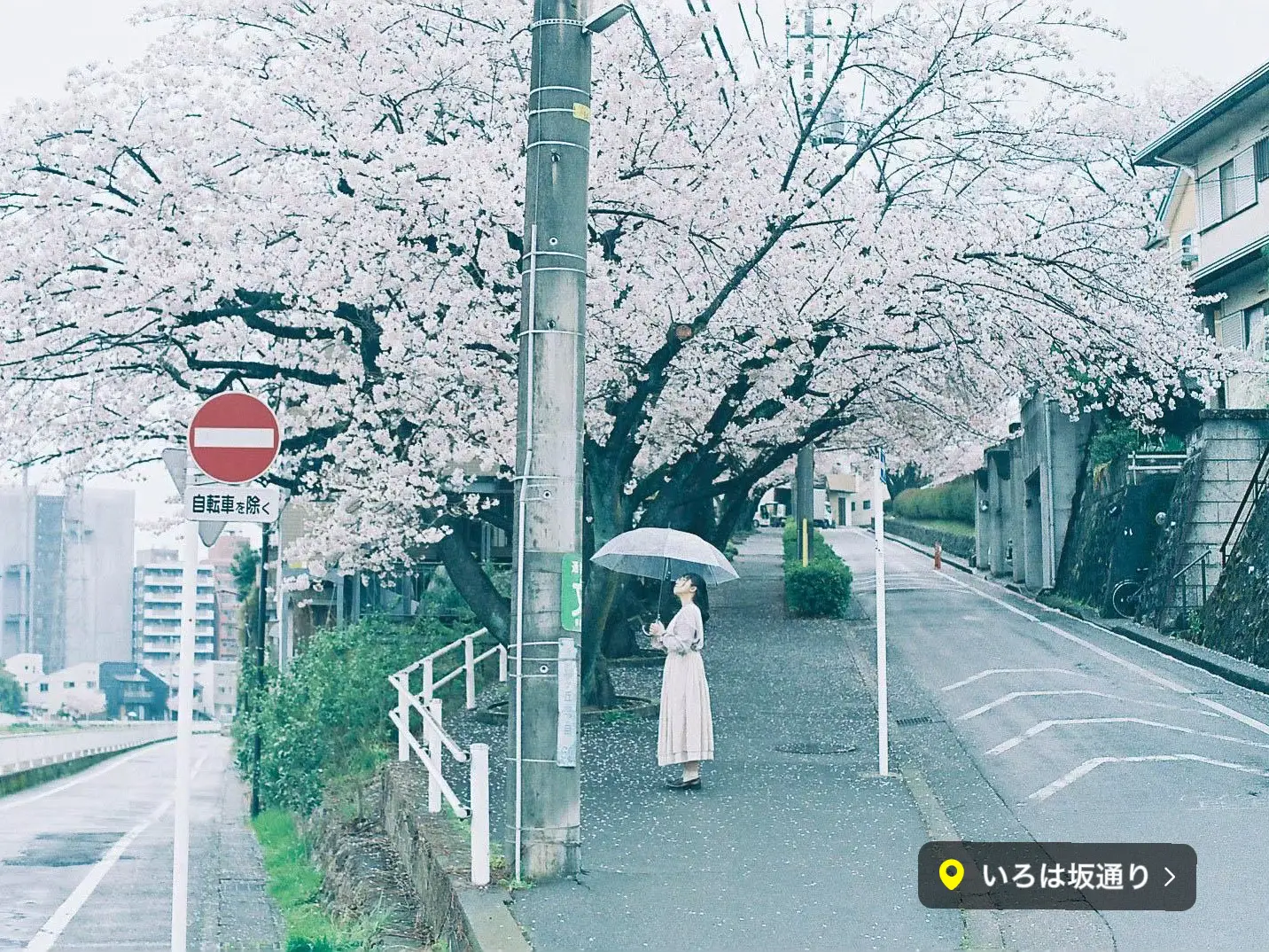 いろは坂さくら公園の夜景 (東京都多摩市) -こよなく夜景を愛する人へ