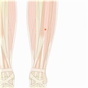 1週間前から息苦しくお腹が張っている｜腰痛、お腹の張りのツボ｜ツボネット 鍼灸の症例が検索できるツボ辞典