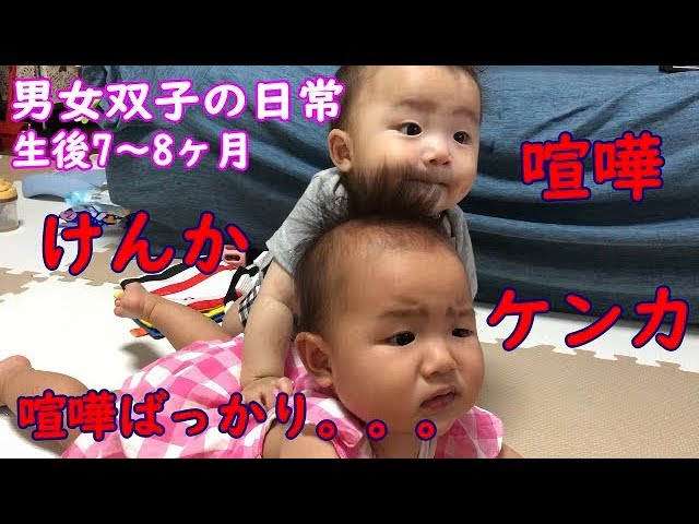いつでも一緒👶👶双子男女双子双子ママ双子パパ双子育児双子妊婦双子ベビー育児赤ちゃん赤ちゃんのいる生活赤ちゃんのいる暮らし赤ちゃんコーデ赤ちゃん動画赤ちゃんモデル赤ちゃんグッズ双子コーデ仲良しニコイチペアおとりと