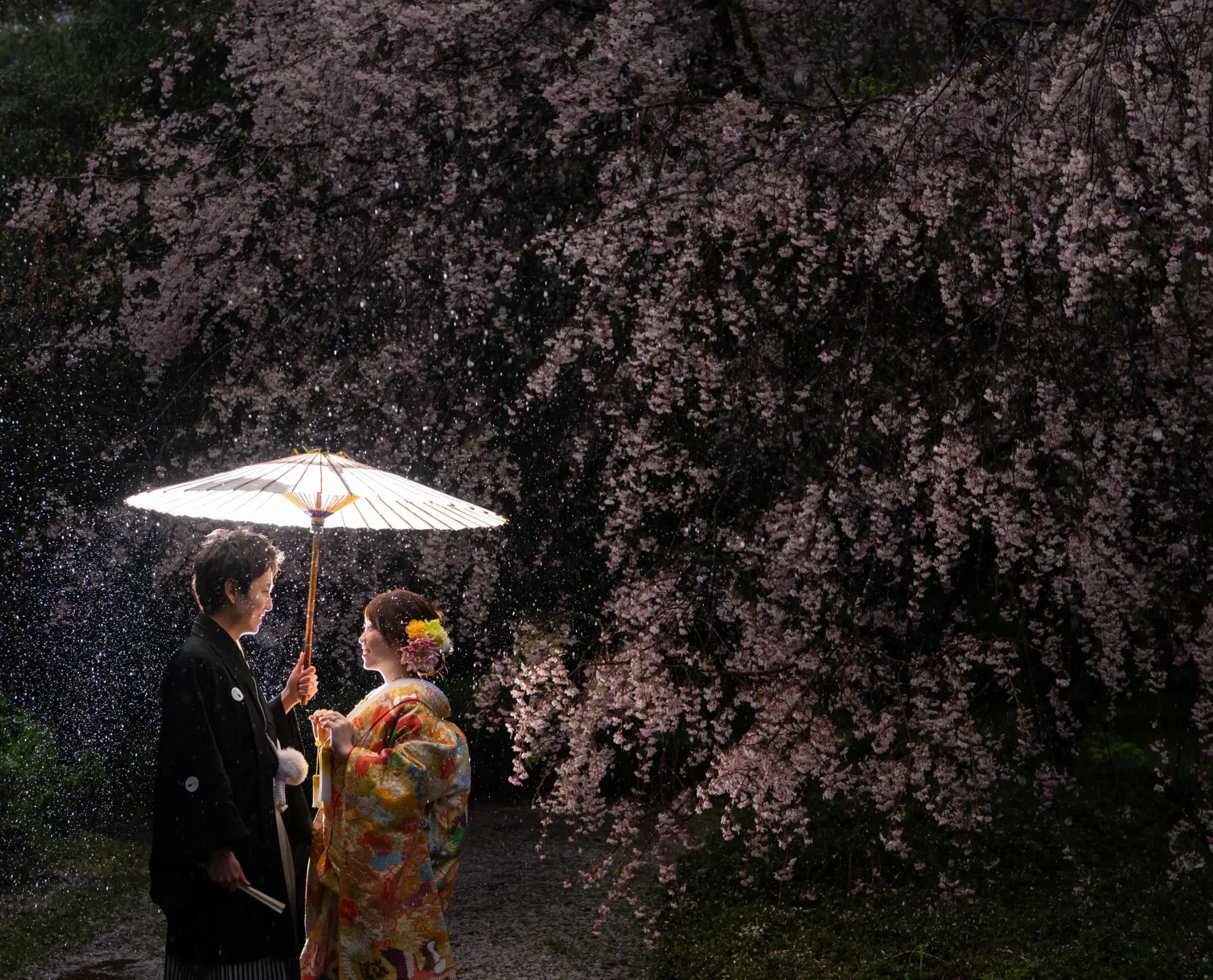 先着20組限定33,000円OFF 河津桜と撮るウェディングフォト 2023期間限定プランが登場株式会社デコルテのプレスリリース