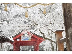 広島県三原市ヘルスカウンセラーの求人｜スーパードラッグひまわり 三原中央店｜ププレひまわり採用サイト