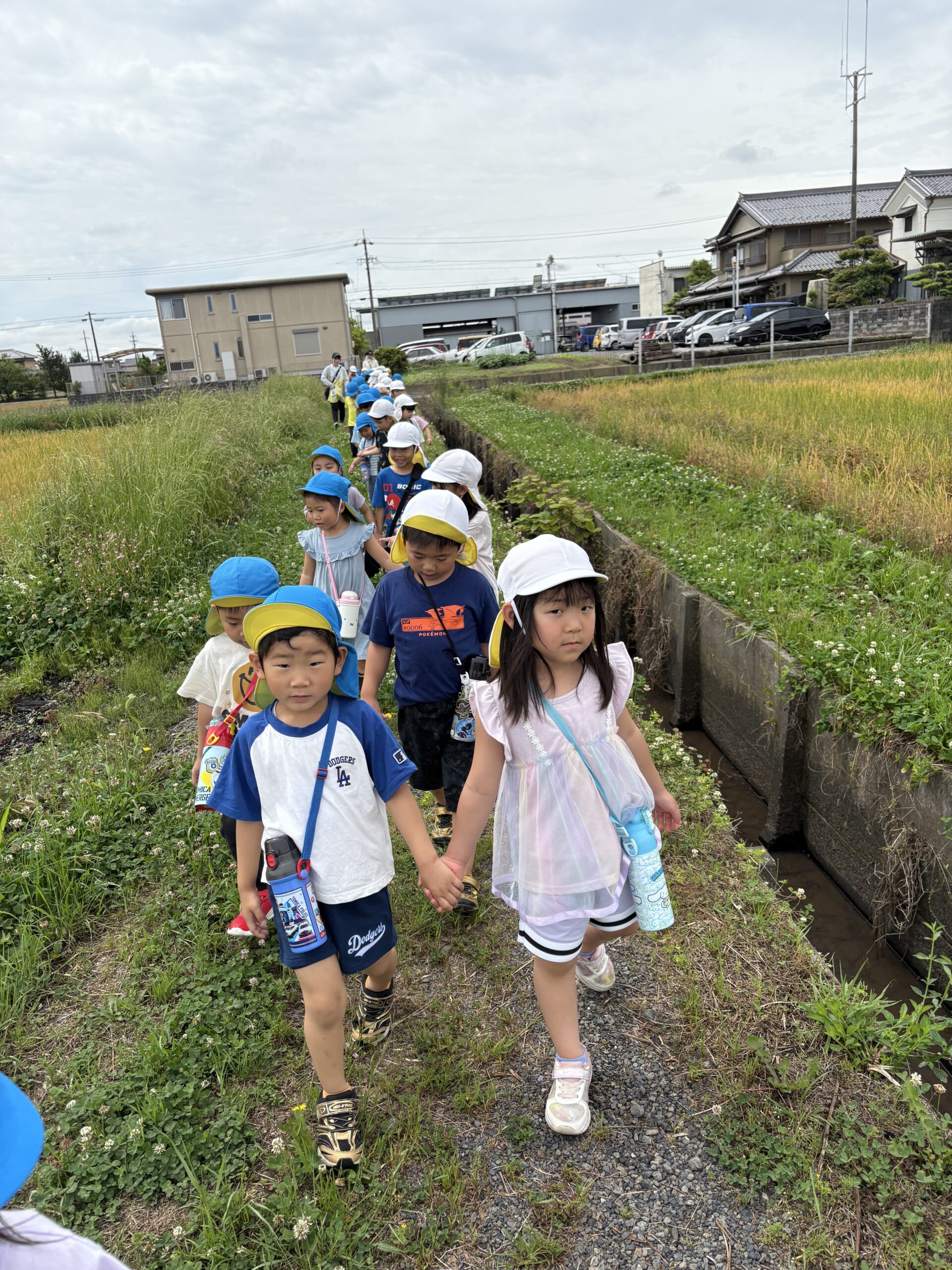 ゆり組のお芋ほり - 園長のつぶやき
