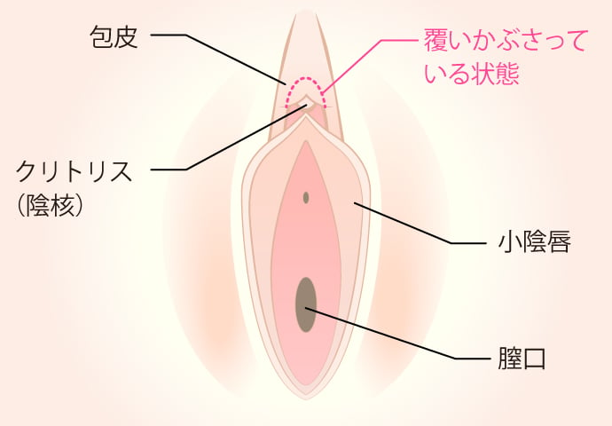 大型自動二輪の免許取ったのは18歳だけど大型バイク（ぺけおくん）所有したのは31歳の時だし、モトクロス始めたのは34歳。  今後はミニバイクのレースもやるつもりだし モタードもやろうとしてる。