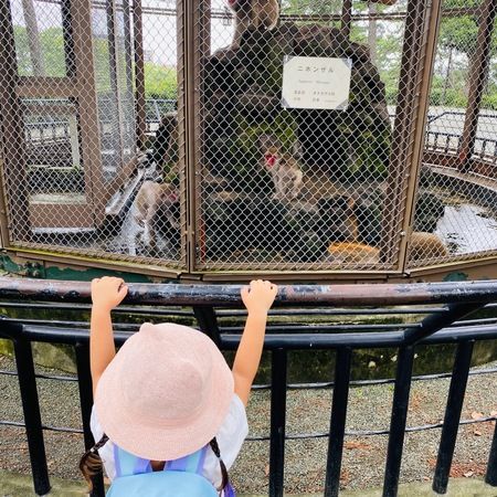 城址公園こども遊園地 アクセス・営業時間・料金情報 - じゃらんnet