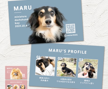 ペット名刺のもふり堂@mofurido• Instagram photos and videos