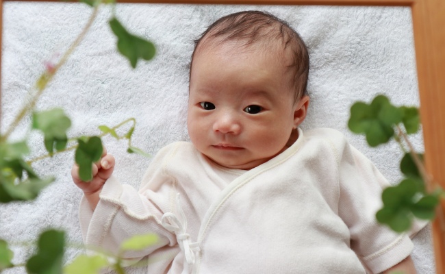 テレビ朝日の弘中綾香アナウンサー、産後5か月のスピード復帰に「もうちょっと休めば」疑問の声も「タイミングは本人が決めること」SNSは擁護多数週刊女性PRIME