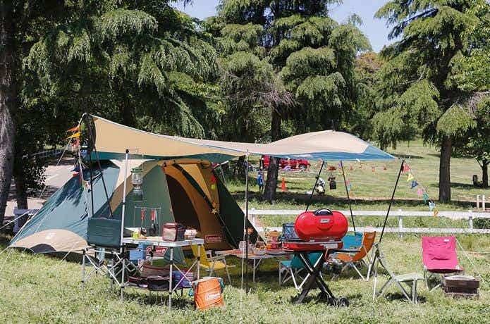 真似したい！ファミキャンの上級者が実践するキャンプのレイアウトとは！？ – ガルビィプラス