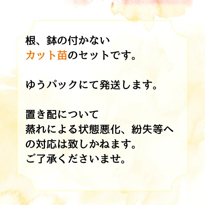 華やかな女の子の名前 華やか、きらびやかなイメージの存在感ある女の子の名前です。 ----------------------------- 「華 、絢、美」などを使った名前をもっと見たい！他の人気の名前をもっと見たい！なら＼「名付けポン」で名前検索しよう！⇒⇒プロフィールに