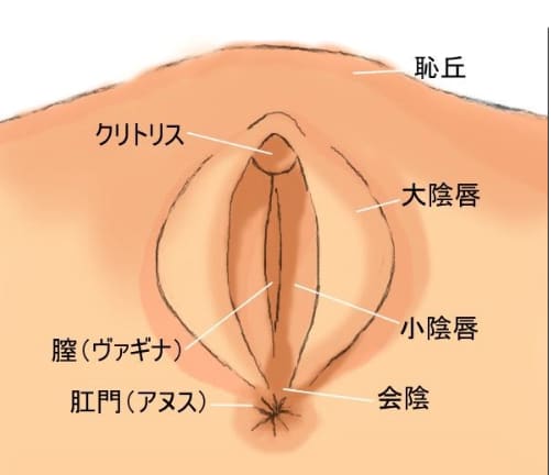 まんことアナル両方眺められる画像まとめ！