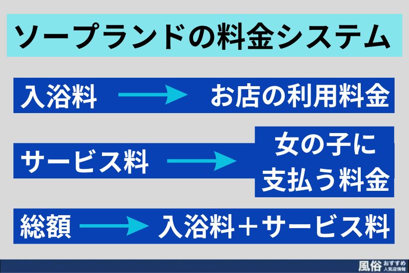 料金システム｜新宿風俗・デリヘル・出張エステ 新宿泡洗体ハイブリッドエステ