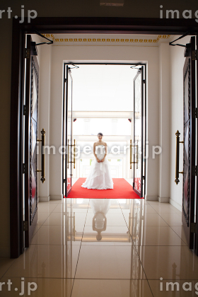 ウェディングロード」の画像素材 写真・イラスト- イメージマートimagemart