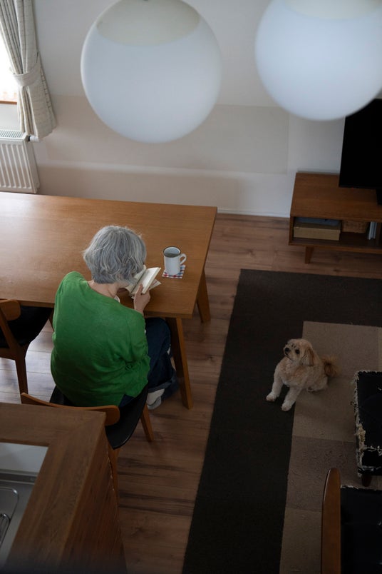 会社員を辞めてもうすぐ一年, 早かったような気もするけど, もっとずっと前から, この生活をしているような気もします, ただ、時間が経つのは,年々早く感じます, こないだ年が明けたばかりなのに, もう半分終わっちゃう