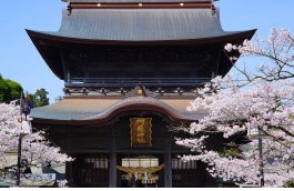 本当に効く1位は？ 熊本県の復縁神社・縁結び神社9選復縁・縁結び神社ナビ