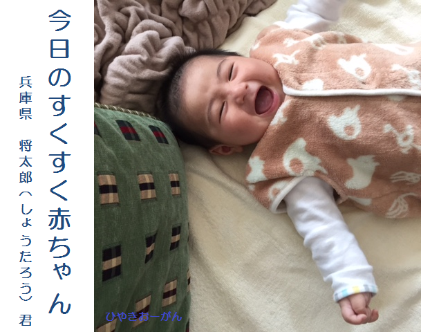 tineo ベビーべッド 2024年出荷分より枕の角度とベッドの全長が変更になった最新モデルです ベビークッション 寝返り防止クッション ベビーネスト吐き戻し防止 : Simpex ショップ - 通販 - Yahoo!ショッピング