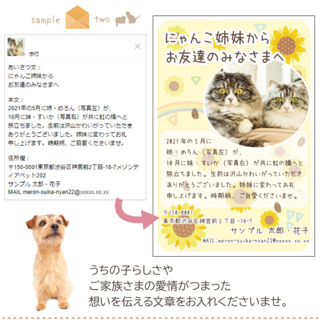 大豆田とわ子』松たか子の娘役・豊嶋花、等身大の素顔チラリ キュートな願望告白「内緒の秘密基地作りたい」 映画『都会のトム＆ソーヤ』完成披露舞台挨拶 -YouTube