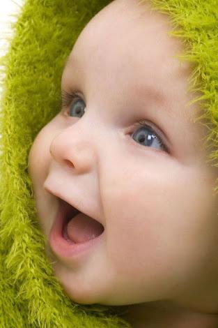 子供関連：英語 豆知識 