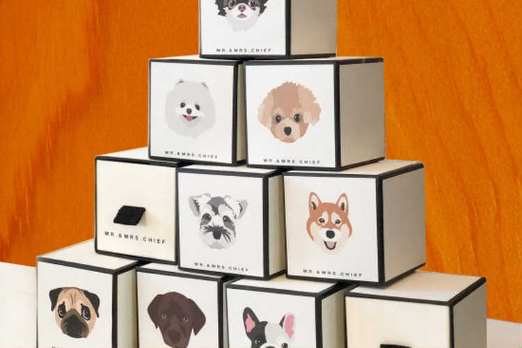 200人に聞いた 愛犬の誕生日プレゼントのおすすめは？後悔したものも一挙公開！ – 犬好き・犬友のプレゼントなら愛犬 ペット専用カタログギフトギフトパレット公式