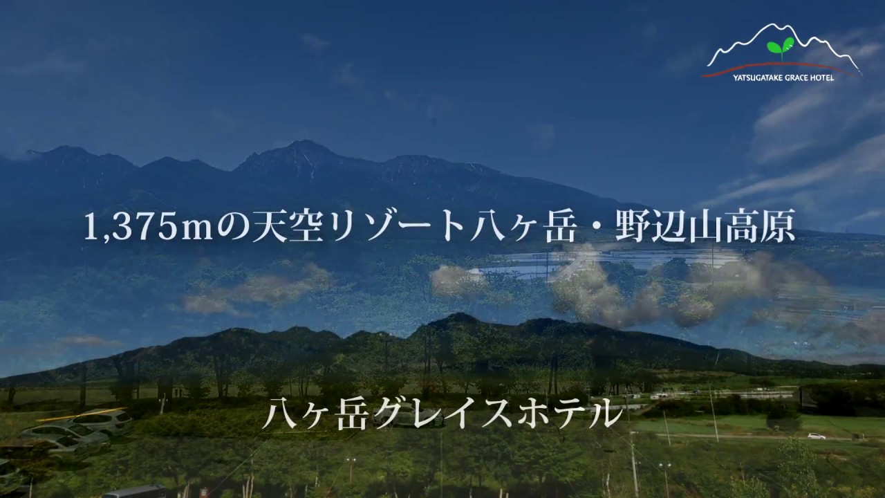 ティーグレース - 海草郡紀美野町福田/カフェ・喫茶 |