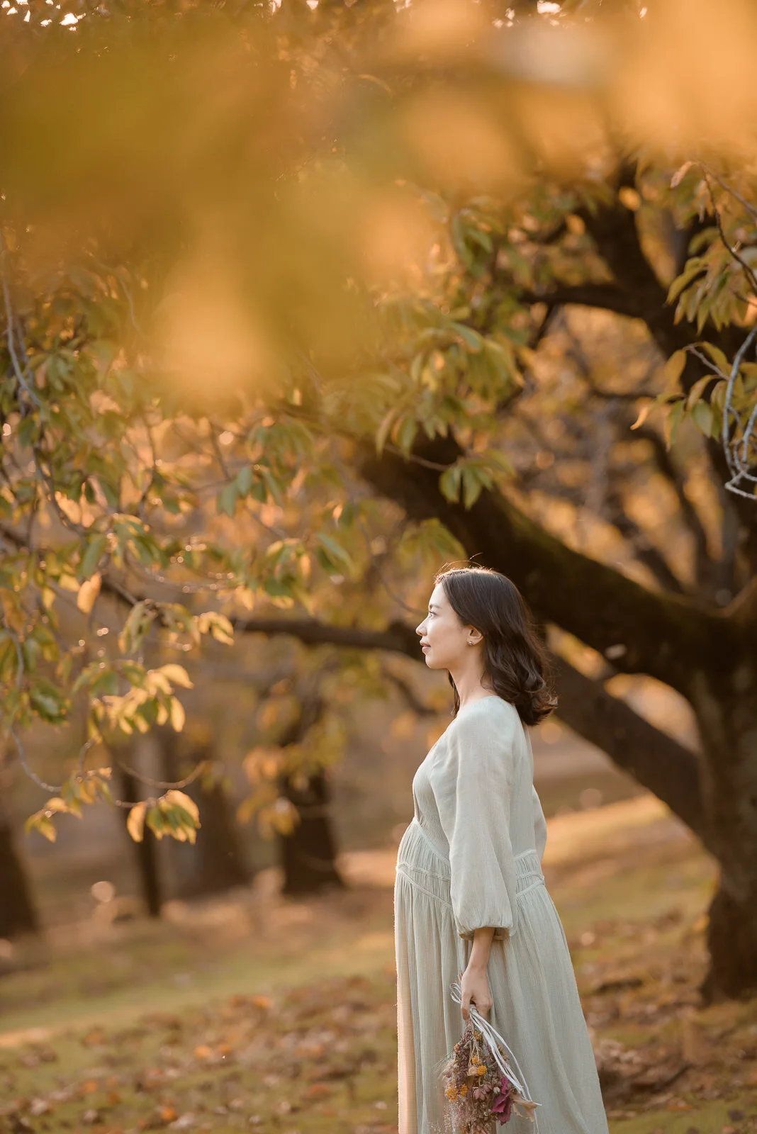 千葉県で人気の自然なマタニティフォトが残せる写真館なら市原市・袖ケ浦市・木更津市・君津市・富津市・茂原市・鴨川市から近いライフスタジオ千葉フォレスト店！「イベント開催中！」- ライフスタジオ千葉フォレスト店千葉県 袖ケ浦市 写真スタジオ