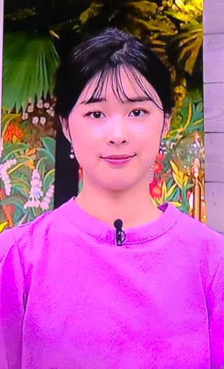 ＮＨＫ、復活する『ブラタモリ』は佐藤茉那アナが担当 高校時代にロケ遭遇、タモリの印象は「ナチュラルな方」：中日スポーツ・東京中日スポーツ