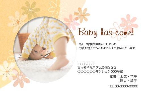 出産報告 写真入り年賀状デザイン一覧カメラのキタムラ年賀状2025巳年