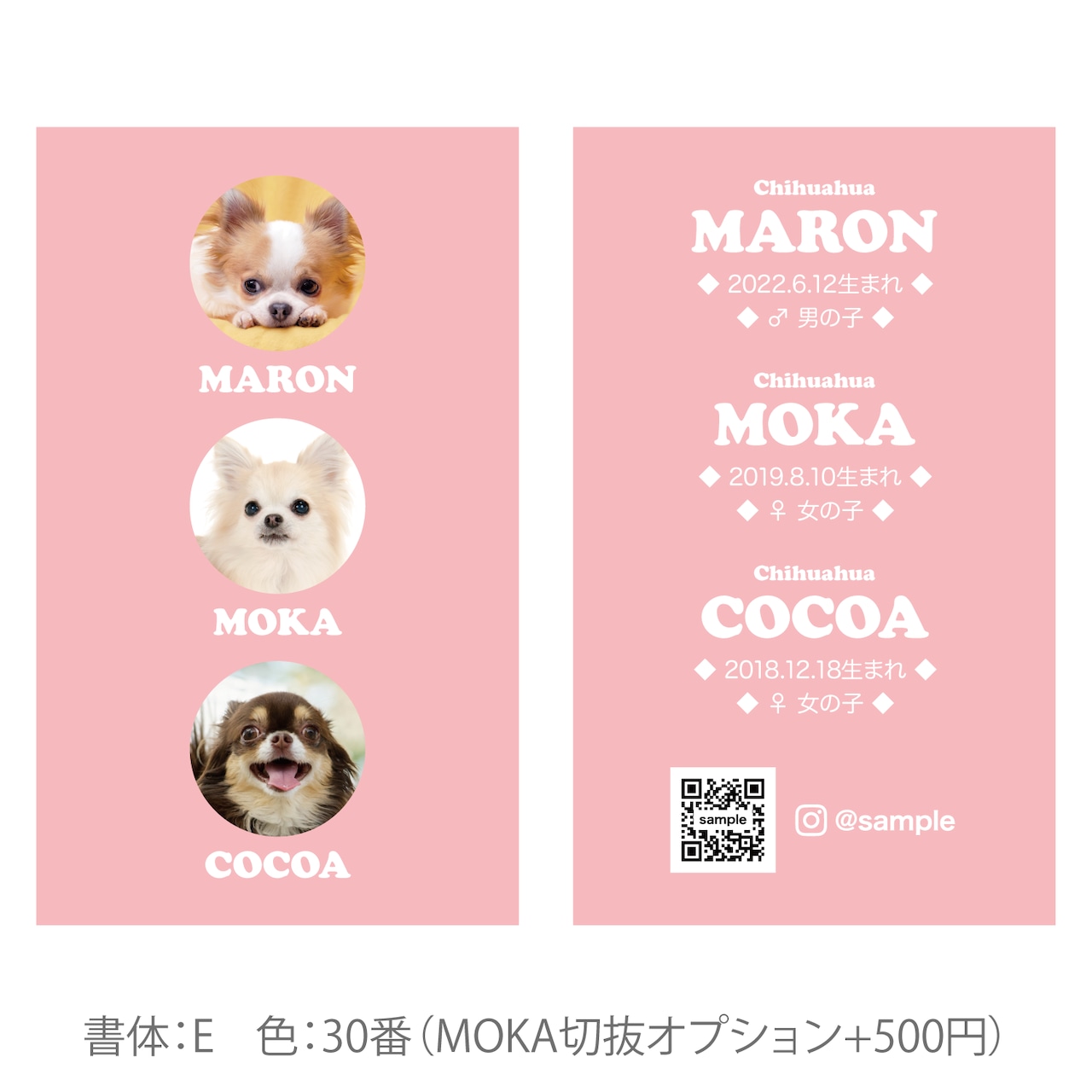 ペット名刺の制作実例犬 3頭多頭飼い の長方形ペット名刺の制作実例w_rec0047