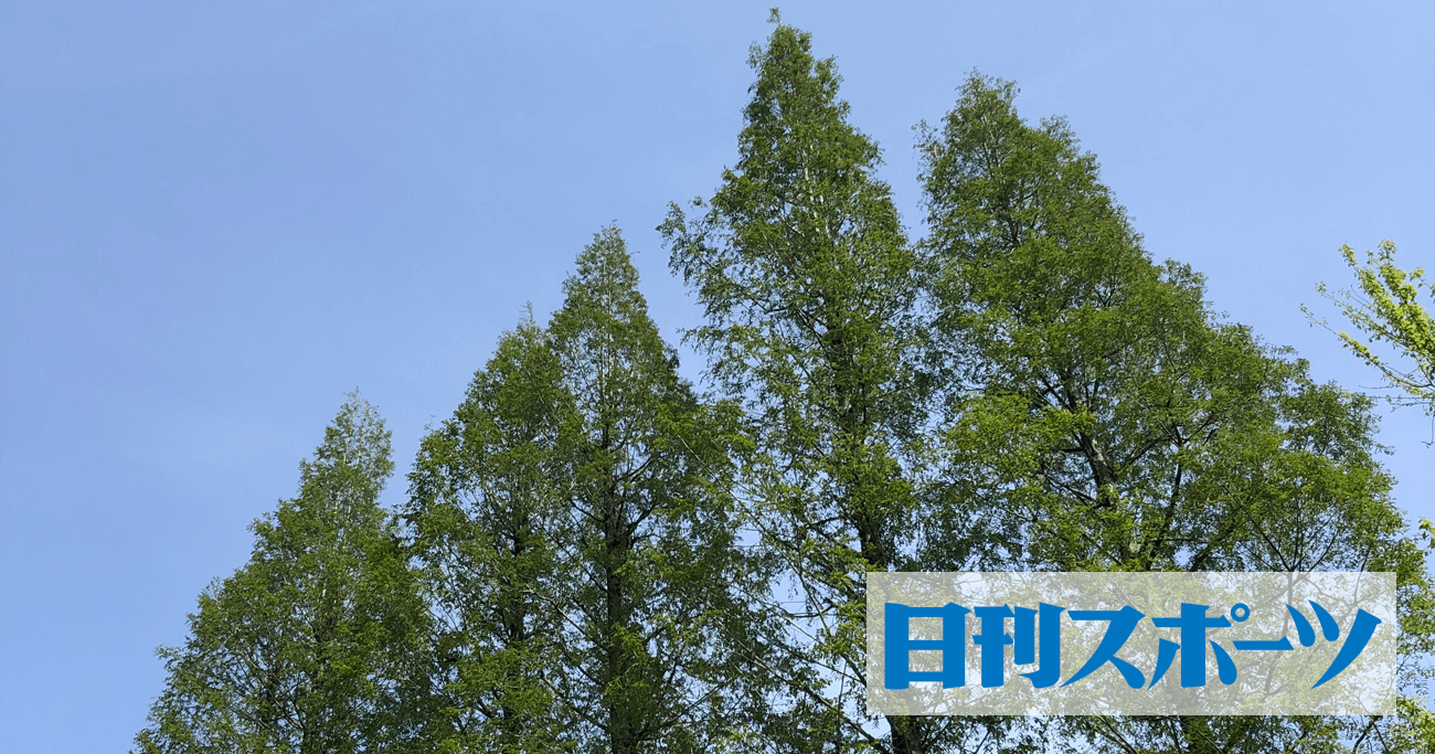 Manchester United 96-98 Home - VINTAGE FOOTBALL SHIRTSCOLLECTION～サッカーユニフォームアーカイブ～