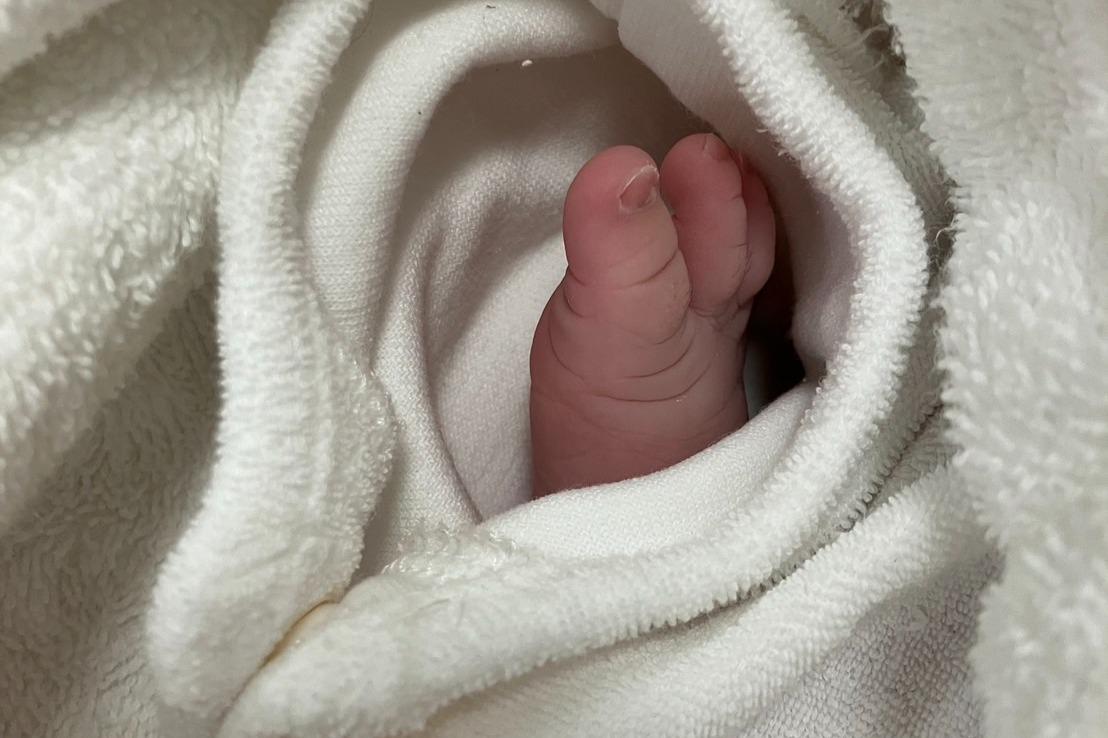 出産前と出産後のどちらが引っ越しに向いている？必要な手続きや転院のポイントをご紹介！ – こだわりギフト専門店「晴日和松吉商店 はれきち 」