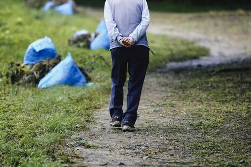 芝生の上で孫と遊ぶおばあちゃんとおじいちゃん 10132105508 の写真・イラスト素材アマナイメージズ