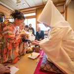 雄蝶雌蝶の写真素材 - PIXTA