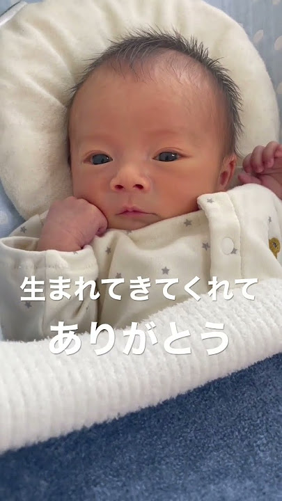 ううう~かわいい・ぱぱのお気楽な生活