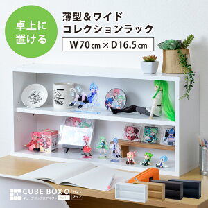 100均でアニメグッズをディスプレイ！眺めて浸る、見せる収納