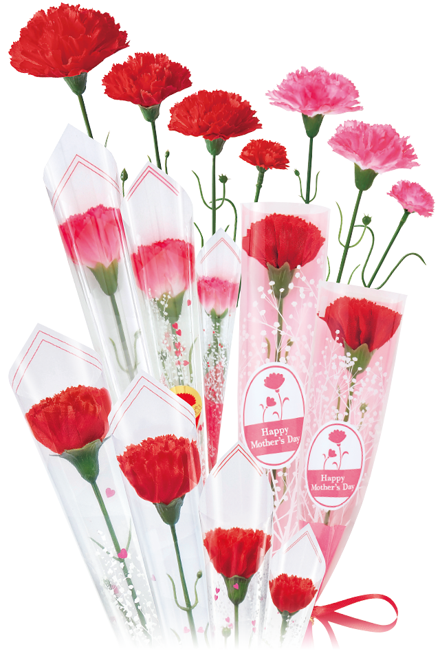 楽天市場プレゼント＆ギフト 花コラボ - 母の日でカーネーションを贈る理由歴史と愛の物語を深堀り解説