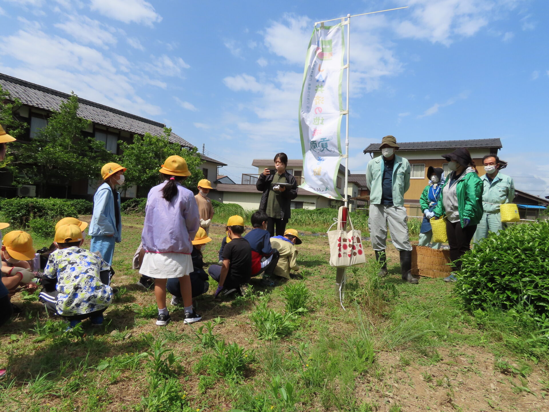 島根県松江でお茶栽培を続け、子供達と共に茶工場を守っていきたい - CAMPFIREキャンプファイヤー