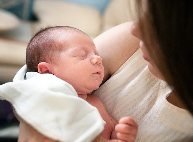 親牛が子牛に乳を飲まさない時の対処法。 | 田中畜産