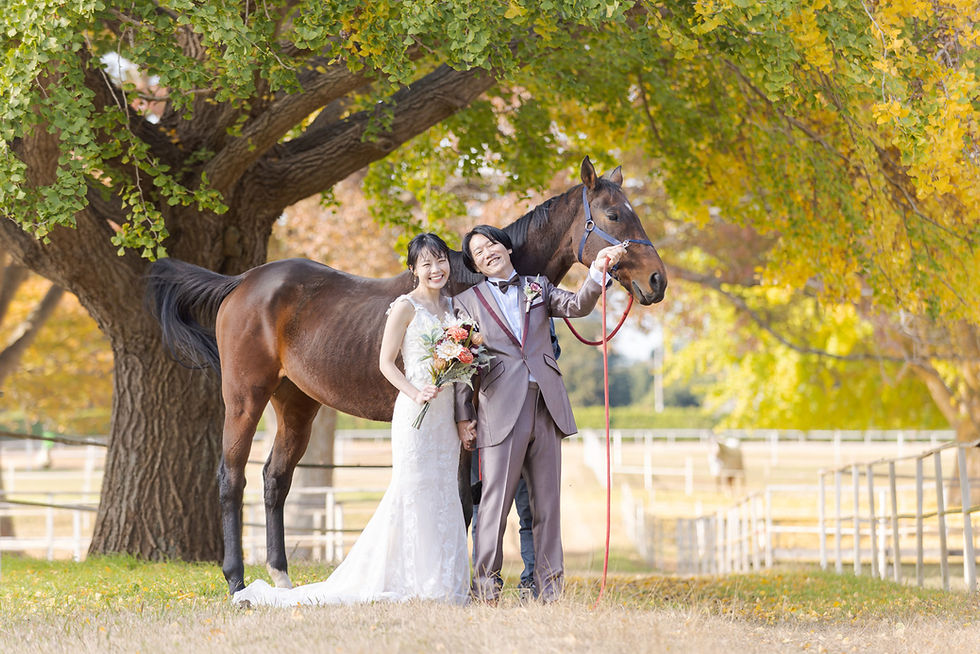 ウェディングフォトウェディング向け馬車運行関東・中部一円出張可- ohagikikaku ページ