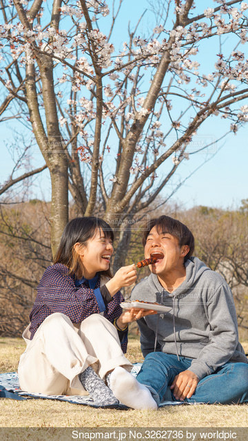 2人用レジャーシートピクニックデートに最適な大きめのレジャーシートのおすすめランキング野に行く