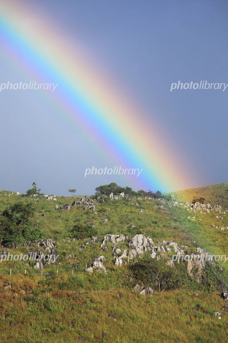 🌈虹色のウサギ🐰 山口育孝 年末に運命的な出会いをした漫画です☺️空色ノキモチ さんのマンガツイコミ 仮