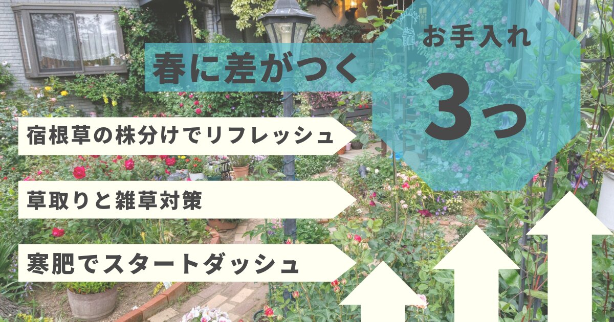 美化作業のお礼恵光東俣幼稚園