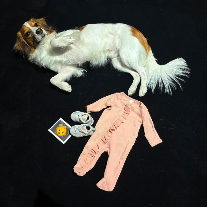 妻夫木聡と大友啓史が映画「宝島」を山形・新潟へ届ける、壮大な3種ポスターも公開 イベントレポート写真22枚- 映画ナタリ