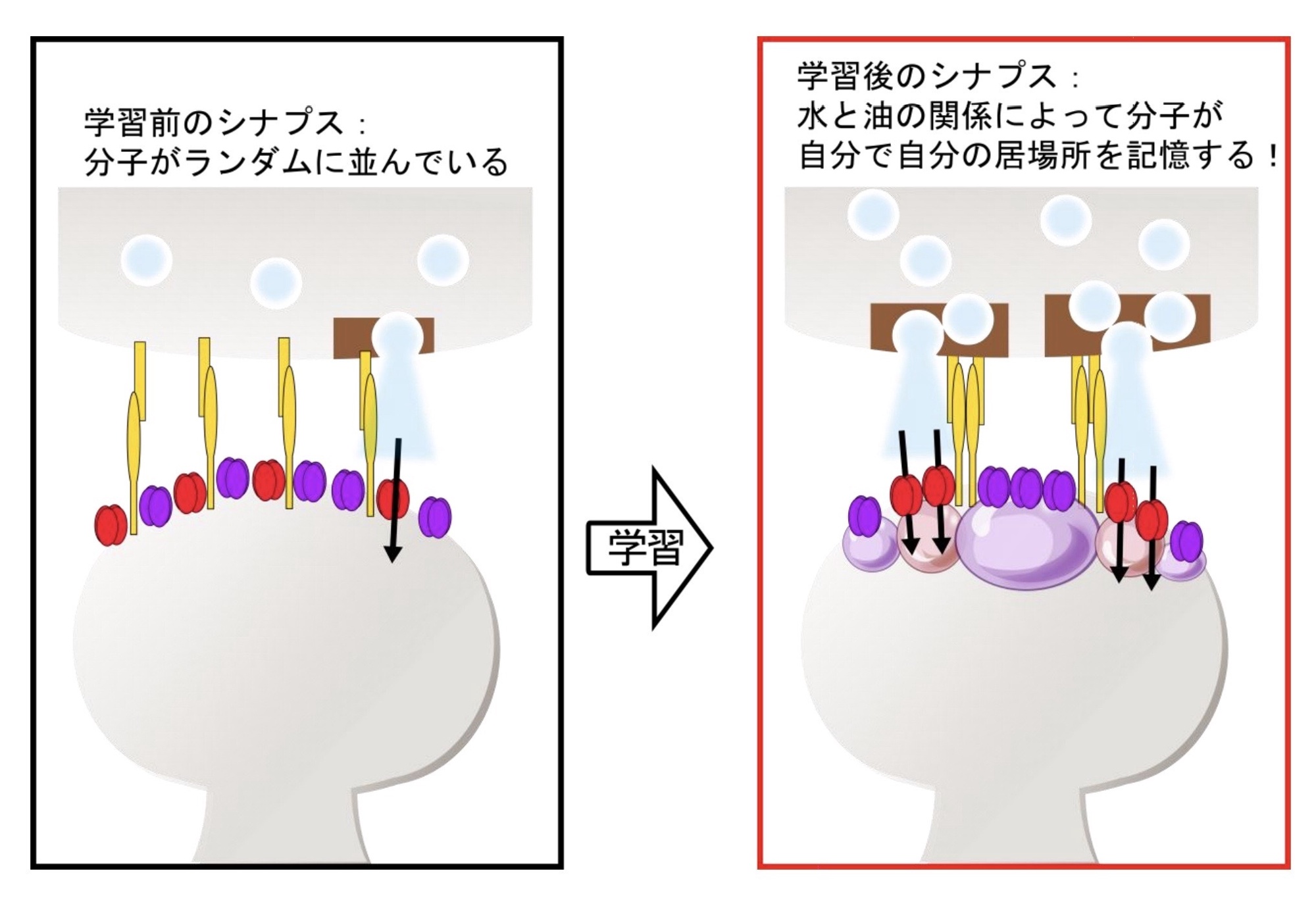 きんきょうとは技能実習生 特定技能外国人 大阪きんきょう 精密金属部品製造協同組合