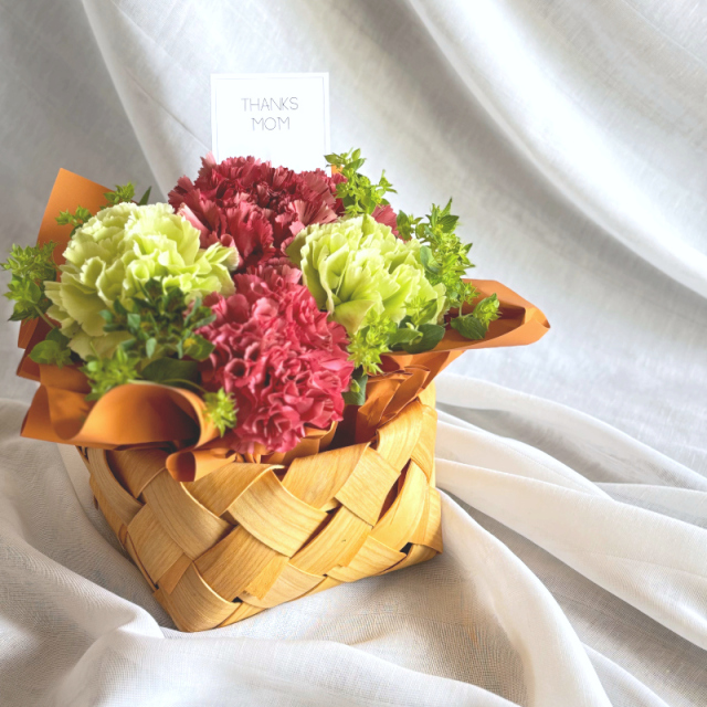 カーネーション ピンク系 母の日への贈り物 プレゼント ギフト カーネーション 花 アレンジ 鉢植え 5号 鉢 国産 花鉢 鉢花フラワーアレンジメント 母の日ギフト フラワーギフト お祝い 母の日茨城県那珂市ふるさと納税サイト「ふるなび」