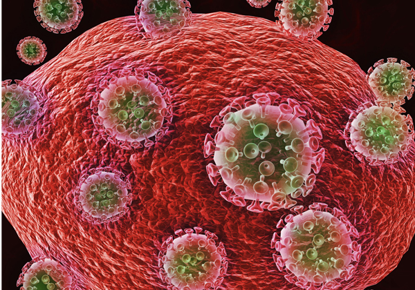 京都大学臨界集合体実験装置 KUCA の低濃縮化等に関する 日米共同声明の発出について：文部科学省