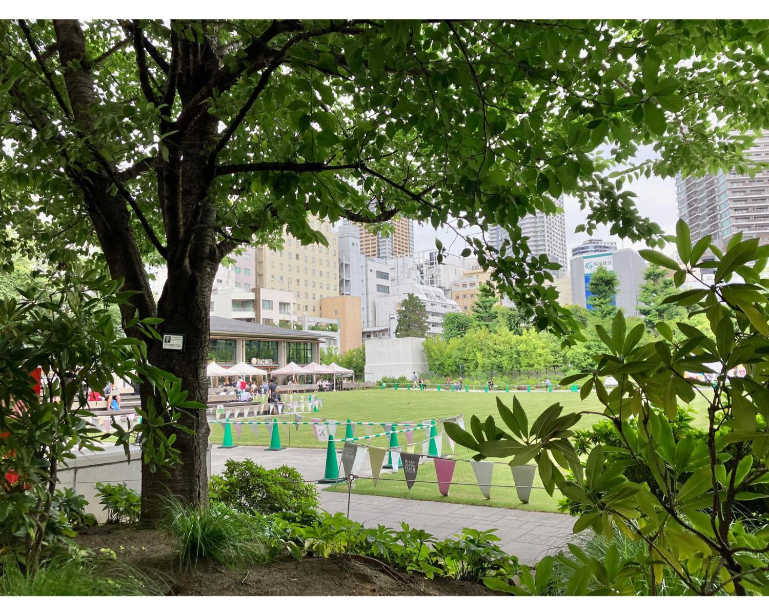 池袋「炭火煎珈琲 皇琲亭」にて一休み Street of