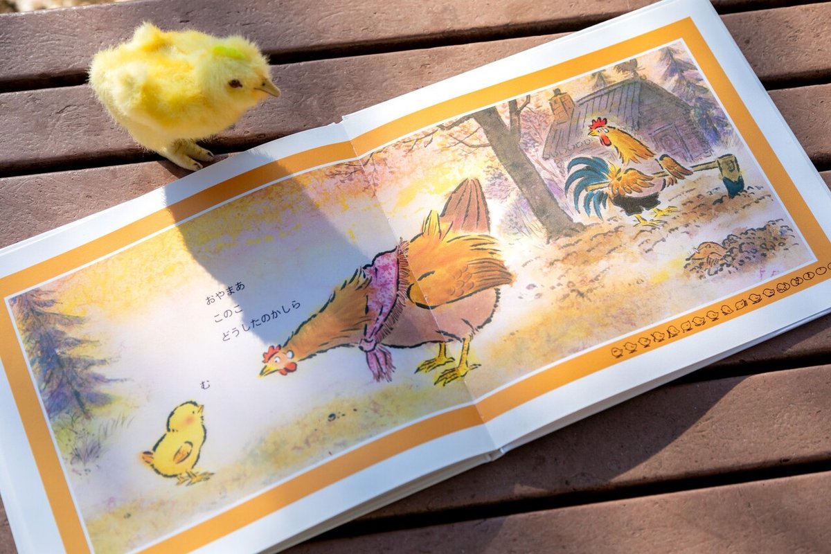 楽天市場 鶏 ひよこ 本・雑誌・コミック の通販